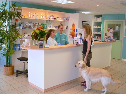 Animaux de compagnie