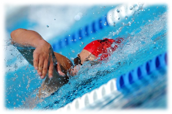 Entretien des Piscine