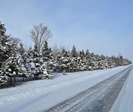 Produits pour l'hiver